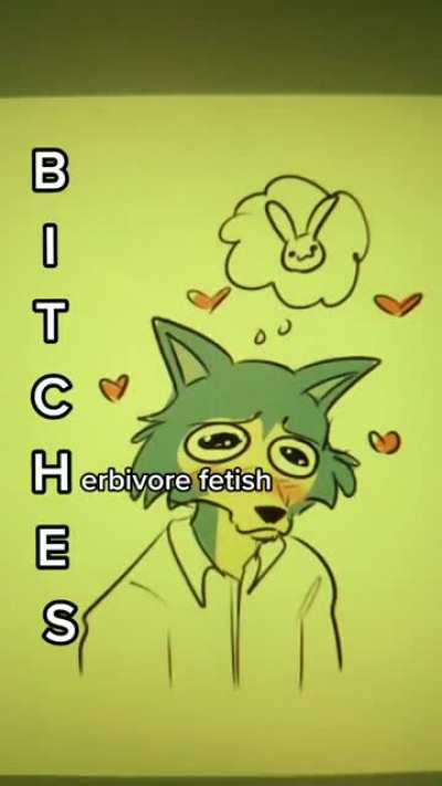 Furry_irl
