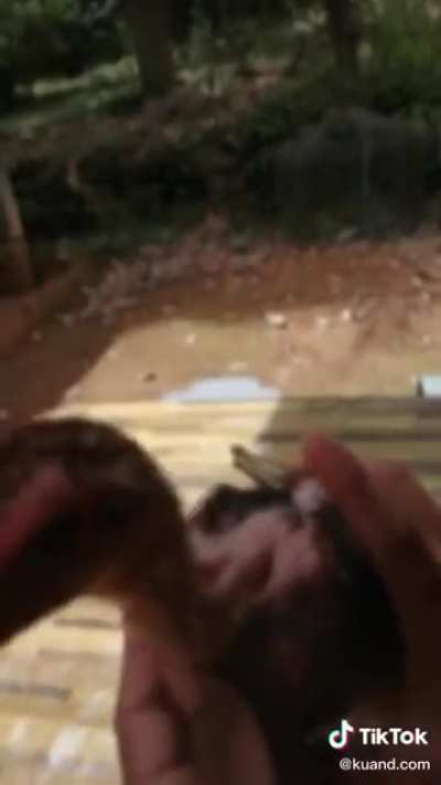 Maybe maybe maybe