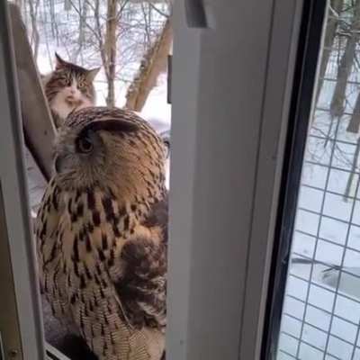А она не одна придёт...