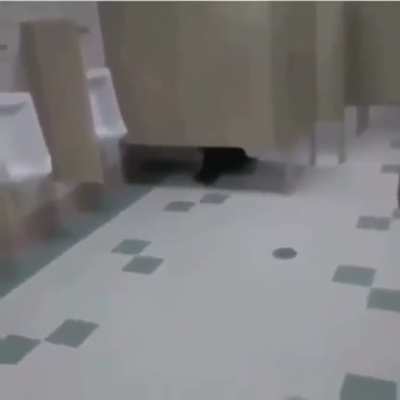 El bato que vio sin querer ⅛ segundos el stream de Ibai 😞🤟