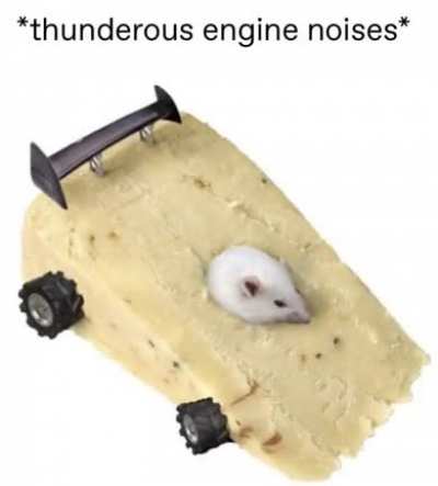 vroom VROOM vroom