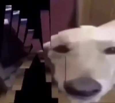 😳😀