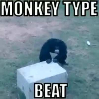 R/APE RAP