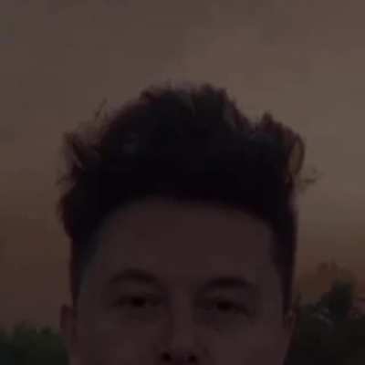 Elon M son