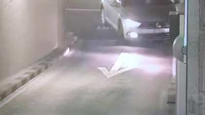 How to enter a parking garage like a boss