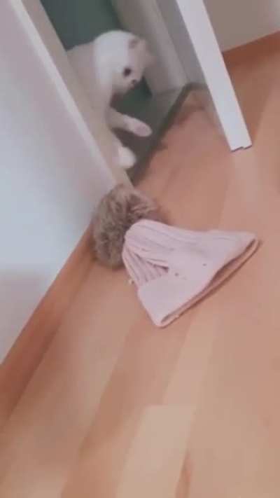 He found a hat