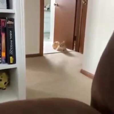Kedy Jumpscare