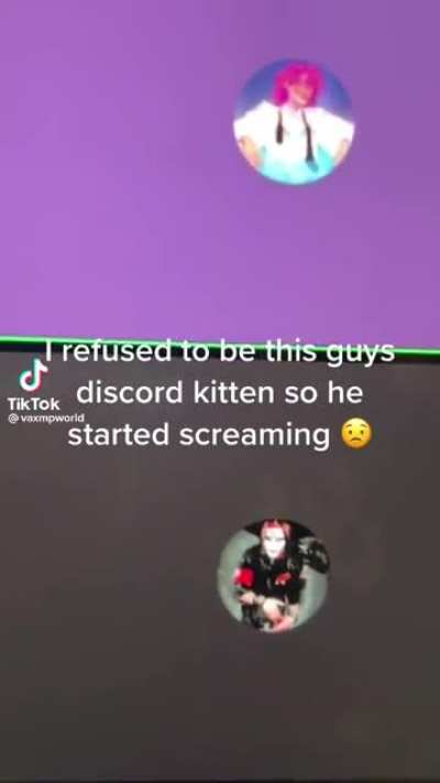 *BE MY DISCORD KITTEN N O O O O O O O O O O O O O W -*