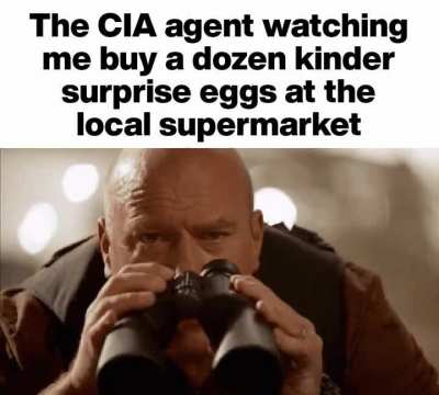 I control 100% of the kinder surprise egg market (the authorities are after me)