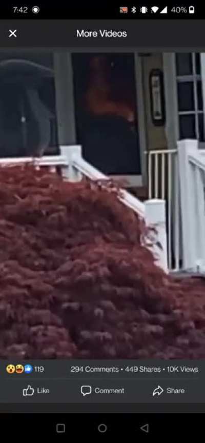 Woman burns down house after a fight with boyfriend.