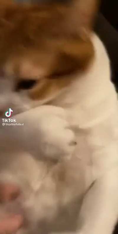 bite bite nom nom