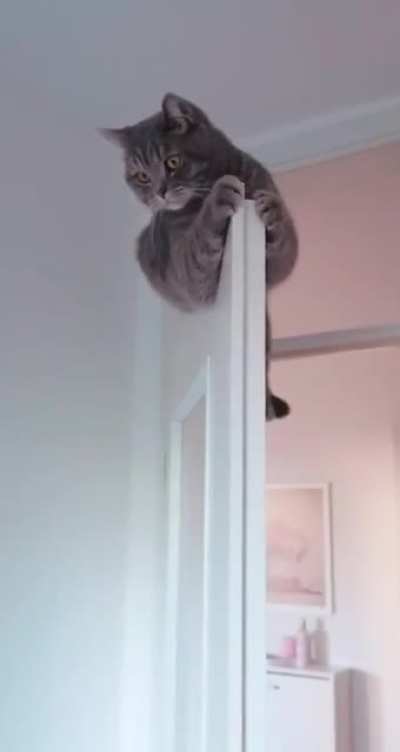 What are you looking at?!