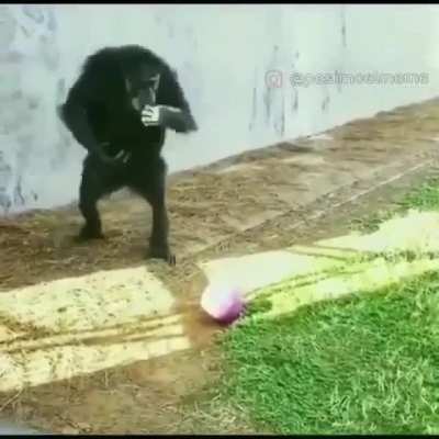Monki Soccer