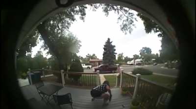 An Enraged Woman Destroys Her Neighbor’s Equality Yard Sign.