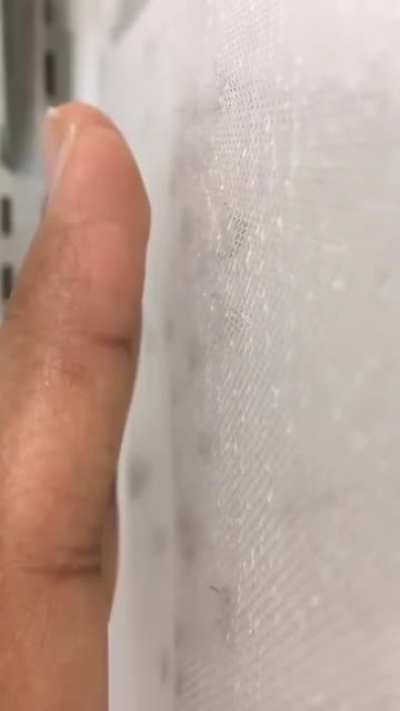 These mosquitoes are determined to eat