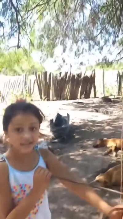 Niña muestra como hace para agarrar señal telefónica en el impenetrable chaqueño