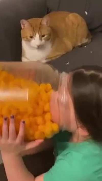 “This is your child, Sharon.”