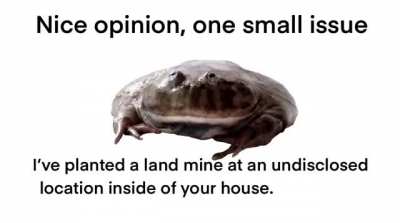 nice opinion one small issue, I don't like you