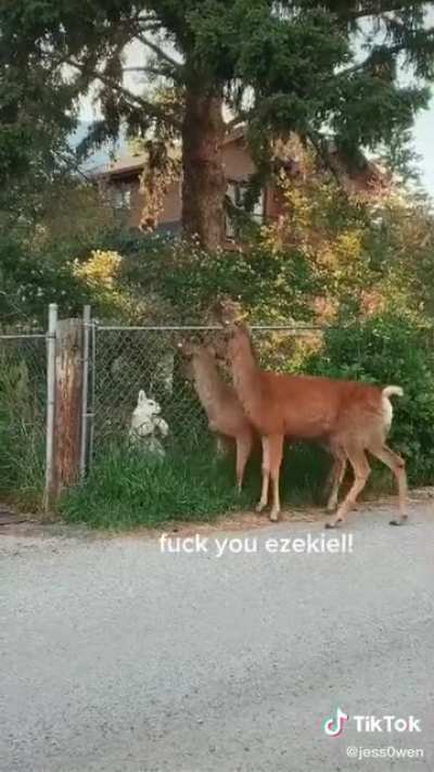 Nice to meet you