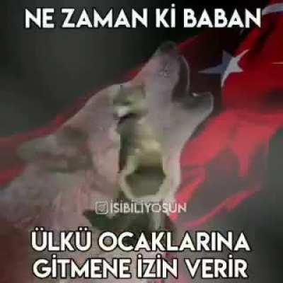 Götün kaşın<wbr>mıştı<wbr>r