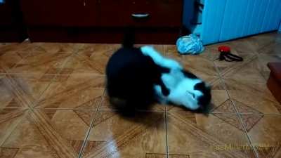 Loco filtrado final