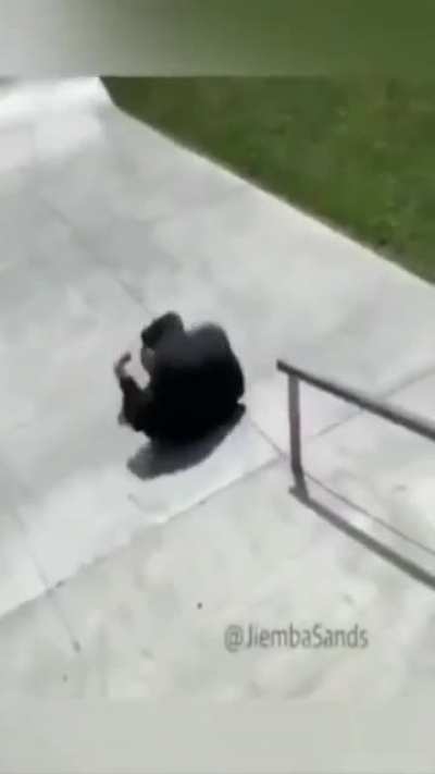 O cara manja