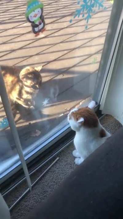 Careful baby…