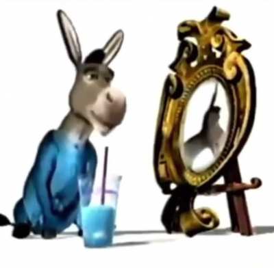 Donkey