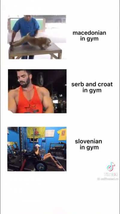 Macedonia superior?🧐🧐