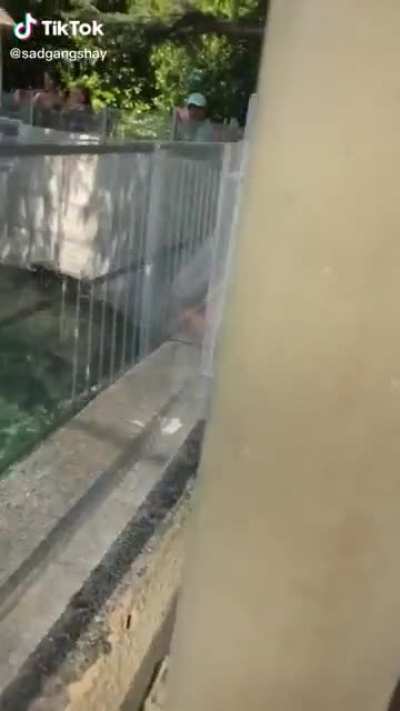Seal