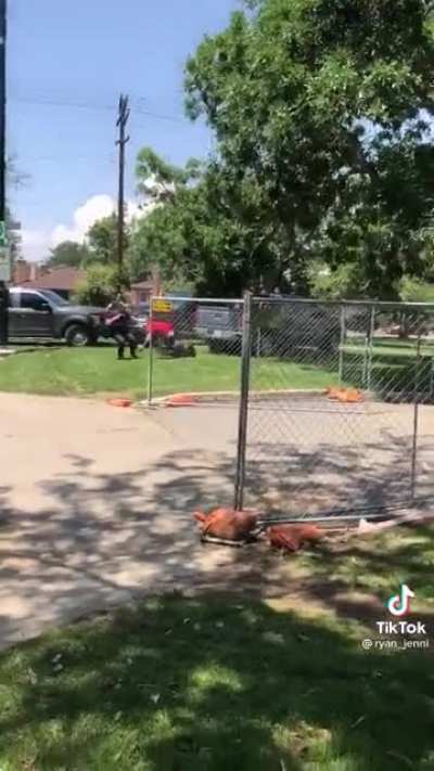 US Marshalls take down