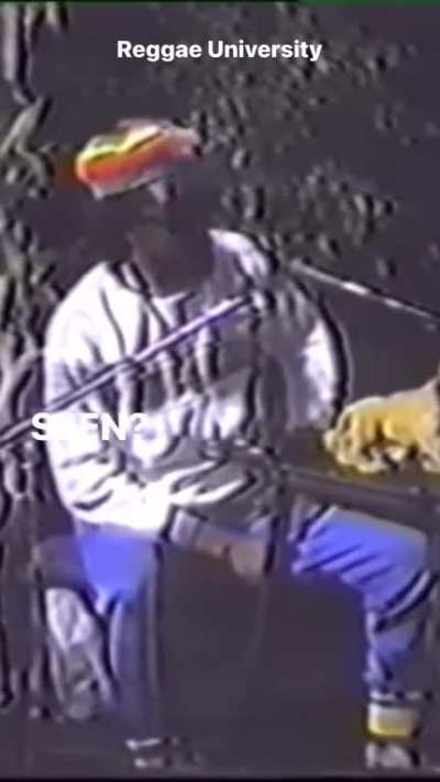 Peter Tosh gets angry talking about how record label EMI refused to re-stock his hugely popular Live at the Greek Theater LP and the accompanying video of the performance. EMI wasnt in the business of selling the revolution