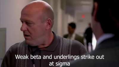 #SigmaSaul #Chimpanzillionaire Saul put BETAS in they place!1!