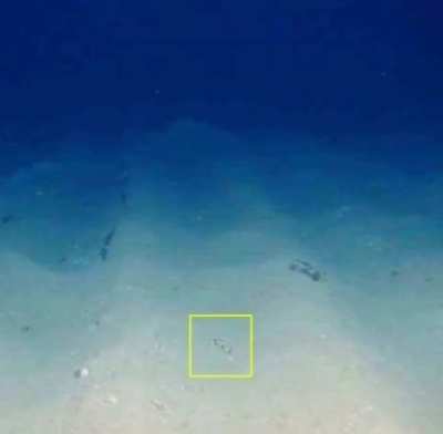 Guess what survived from the Titan