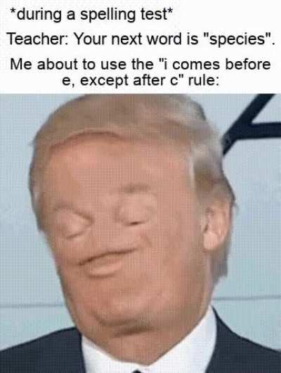 Flawless logic