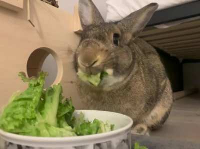 Crunchy water ASMR