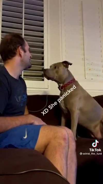 Calling your dog when it's next to you