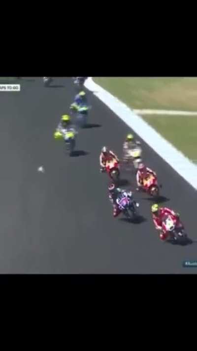 Bonk