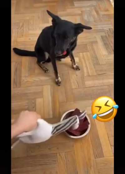 Buddy’s never eating that again