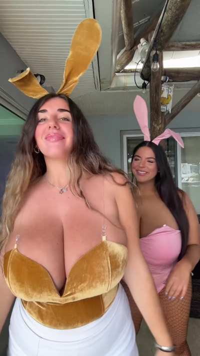 Big Boob Bunnies