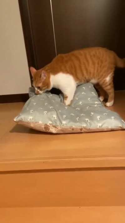 Bed time