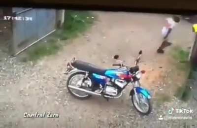 O Plano Perfeito