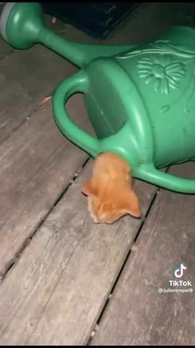 the magic watering can