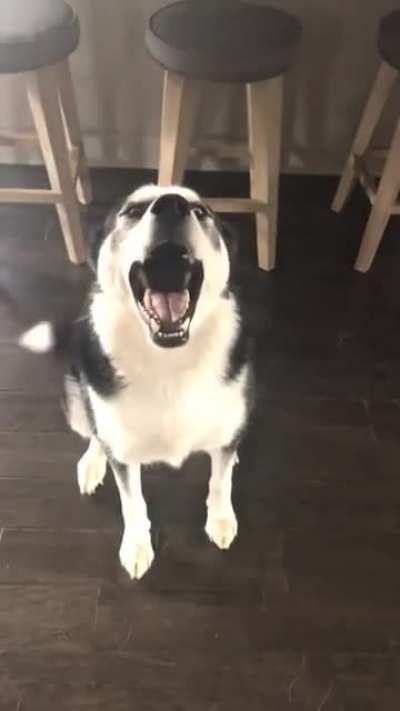 To much scream, aaaaaaa