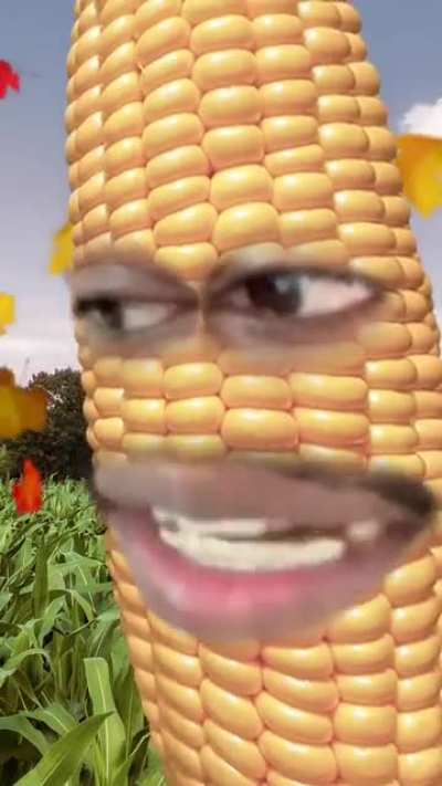 Corn Ye
