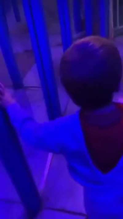 to be a kid at a mirror maze
