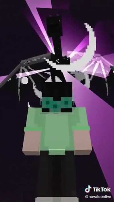 Rick and Morty Trend in Minecraft Now