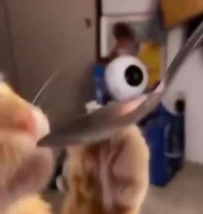 Does this count?