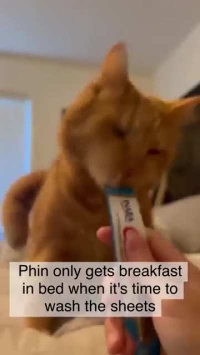 He goes crazy for the treats.