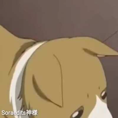 ESSE É O ÍDOLO DE VCS?😭😭😭
